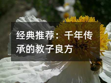传承的教子良方