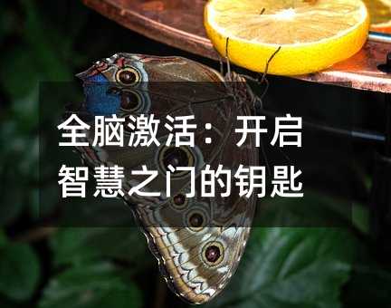 全脑激活：开启智慧之门的钥匙