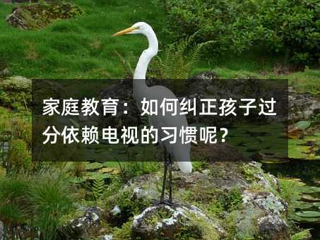 ͥξӹӵϰأ
