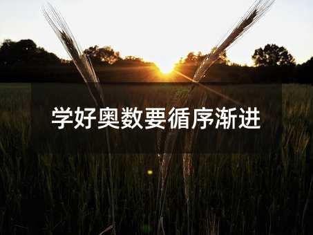 学好奥数要按部就班
