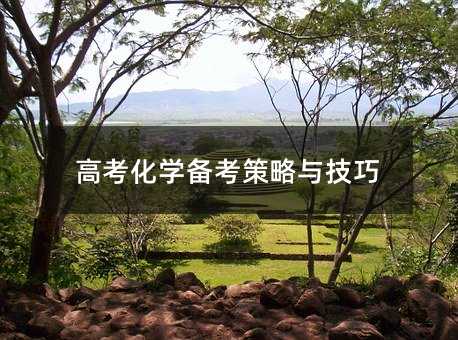 高考化学备考策略与技巧