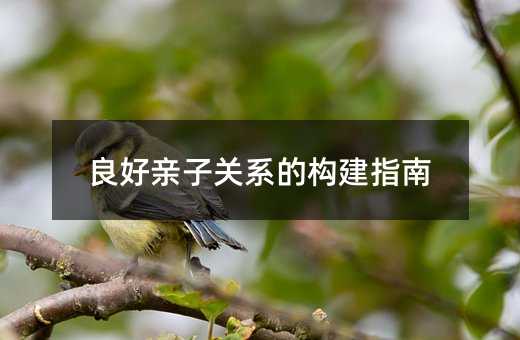 好亲子关系的构建指南