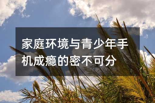 家庭环境与青少年手机成瘾的密不可分