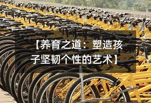 【养育之道:塑造孩子坚韧个性的艺术】