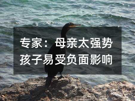 专家:母亲太强势孩子易受负面影响
