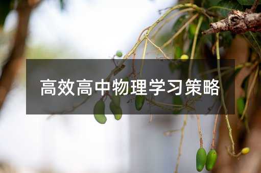 高效高中物理学习策略