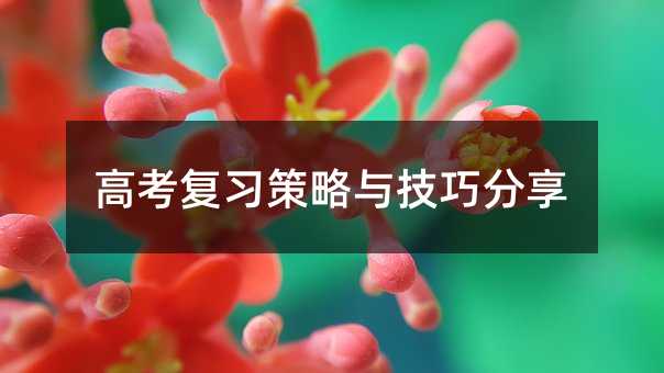 高考考试复习方案与方法推荐