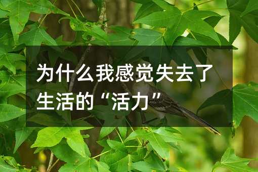 为什么我感觉失去了生活的“活力”