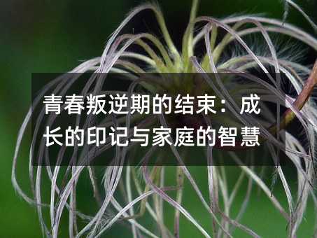 青春叛逆期的结束:成长的印记与家庭的智慧
