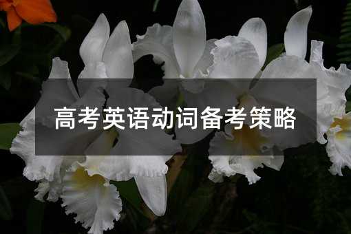 高考考试英语动词备考方案