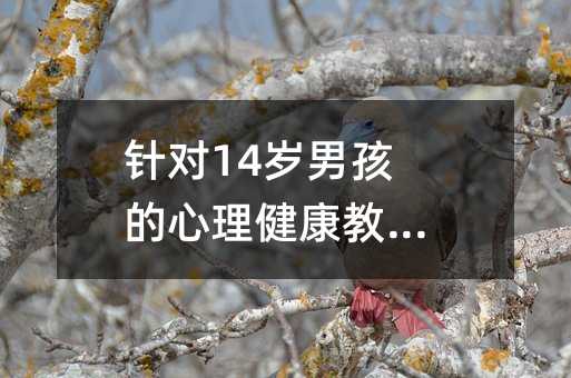 针对14岁男孩的心理健康教育方法