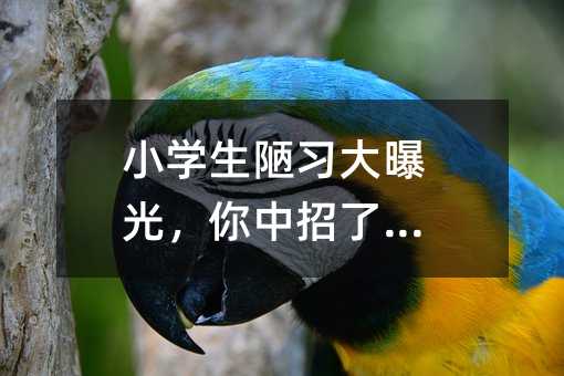 小学生陋习大揭秘，你中招了吗？