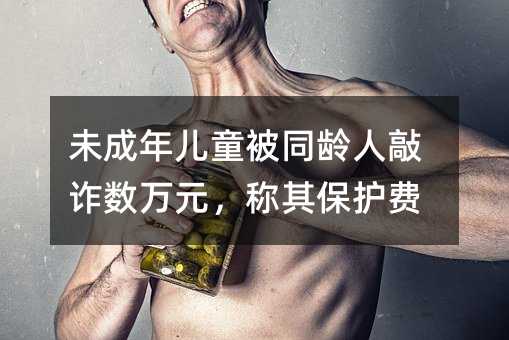 未成年儿童被同龄人敲诈数万元,称其保护费