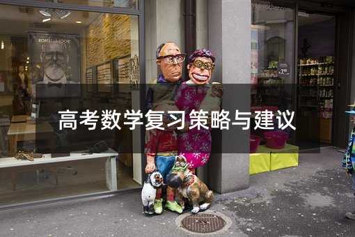 高考数学复习策略与建议