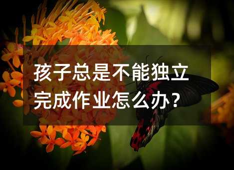 孩子总是不能独立完成作业怎么办?