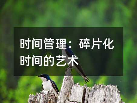 时间管理:碎片化时间的艺术