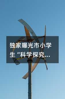 独家揭秘市小学生“科学探究”大赛历届考试真题试题