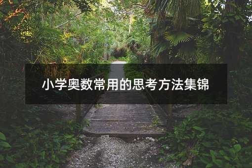小学奥数常用的思考方法集锦