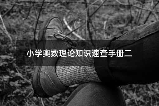 小学奥数理论知识速查手册二