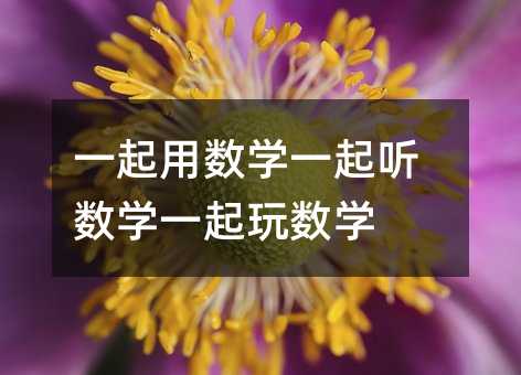 一块用数学一块听数学一块玩数学