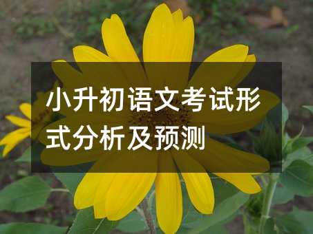 小升初语文考试形式剖析及预测