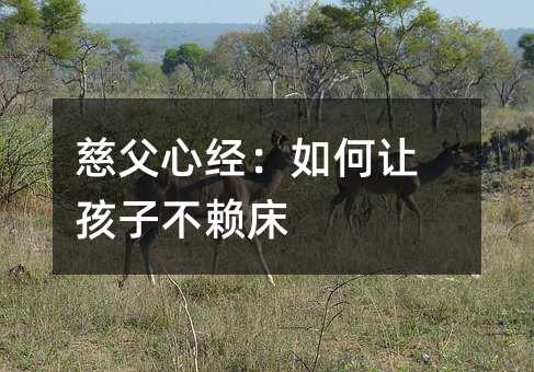 慈父心经：怎么样让孩子不赖床