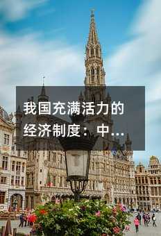 国内充满活力的经济规范：中考政治复习指南