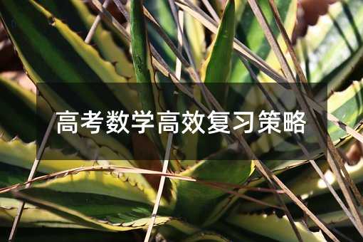 高考数学高效复习策略
