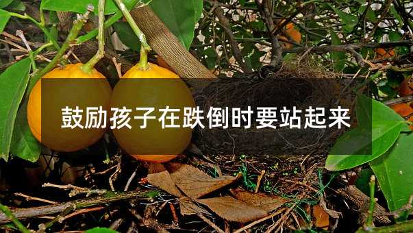鼓励孩子在跌倒时要站起来