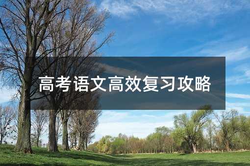 高考语文高效复习攻略