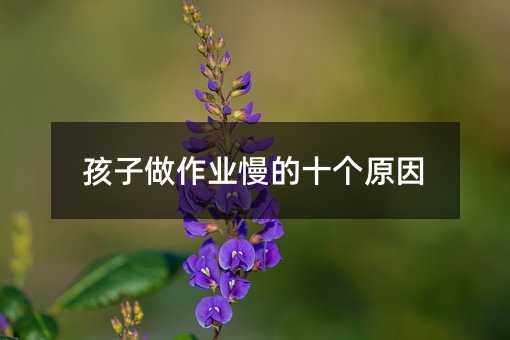 孩子做作业慢的十个原因