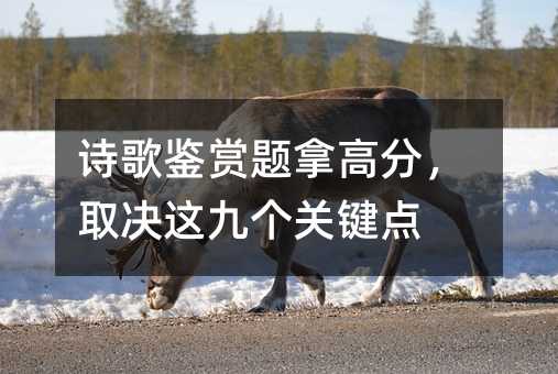 诗歌鉴赏题拿高分，取决这九个重点