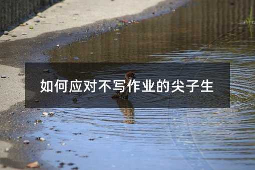 怎么样应付不写作业的尖子生