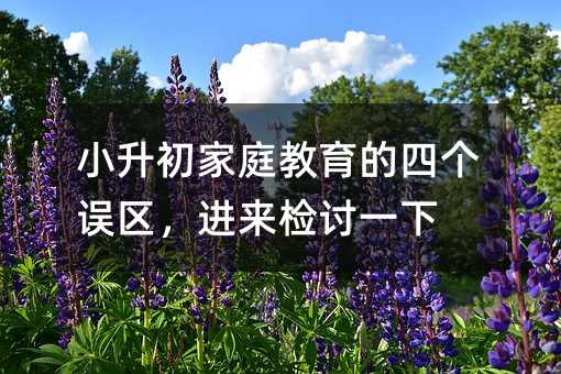 小升初家庭教育的四个误区,进来检讨一下