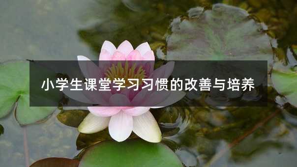 小学生课堂学习习惯的改善与培养