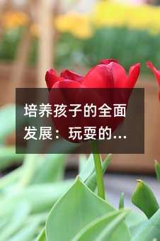 ӵȫ淢չˣҪ