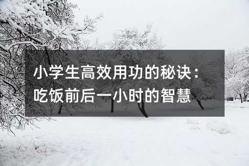 小学生高功用功的诀窍：吃饭前后一小时的智慧