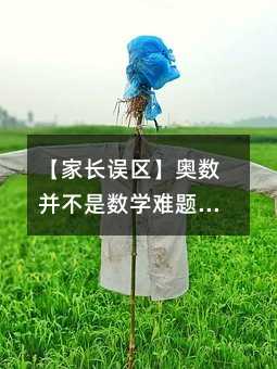 【家长误区】奥数并不是数学难题的代名词