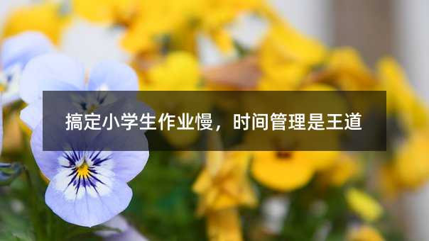 搞定小学生作业慢,时间管理是王道
