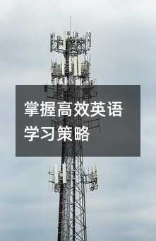 掌握高效英语学习策略