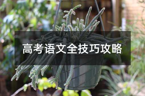 高考语文全技巧攻略