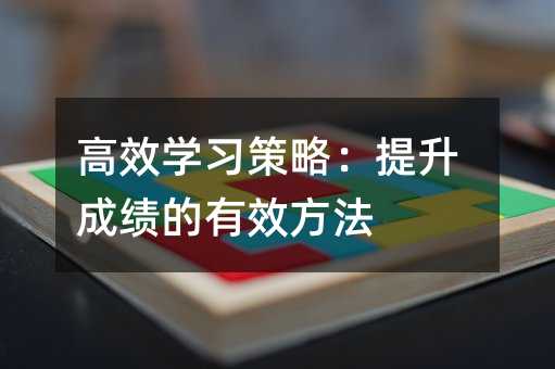 高效学习策略:提升成绩的有效方法