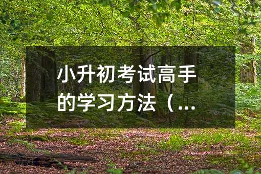 小升初考试高手的学习技巧