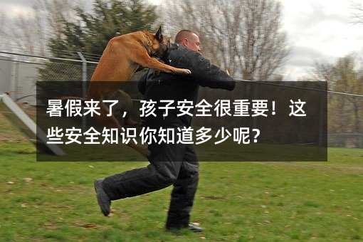 ˣӰȫҪЩȫ֪ʶ֪أ