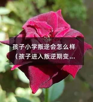 孩子小学叛逆会怎么样(孩子进入叛逆期变得非常不懂事)