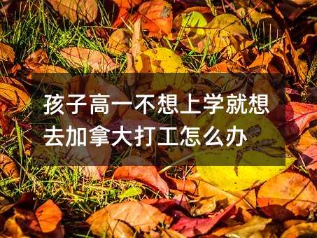 孩子高一不想上学就想去加拿大打工怎么办