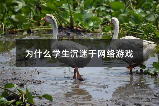 为何学生沉迷于网游