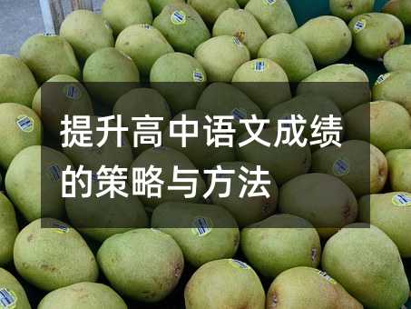 提升高中语文成绩的策略与方法