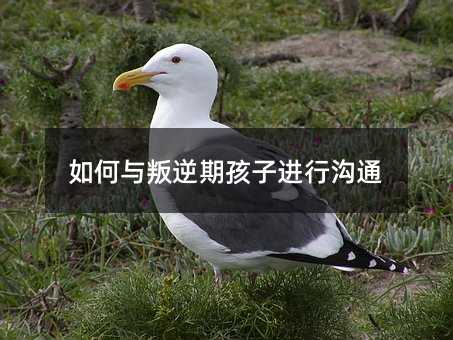 怎么样与青春叛逆期孩子进行交流