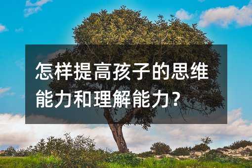 怎样提高孩子的思维能力和理解能力?